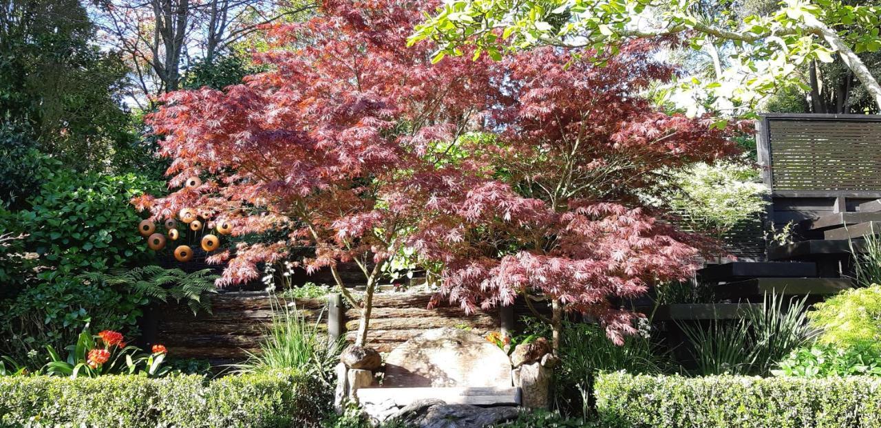 Sequoia Steps Bed & Breakfast New Plymouth Eksteriør bilde