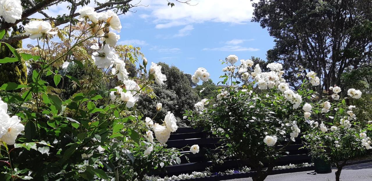 Sequoia Steps Bed & Breakfast New Plymouth Eksteriør bilde